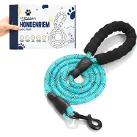 R2B All 4 Pets Supply Reflecterende Hondenriem - 3 meter - NeonBlauw
