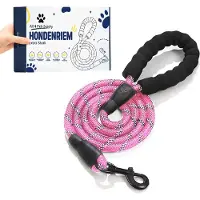 R2B All 4 Pets Supply Reflecterende Hondenriem - 3 meter - Roze