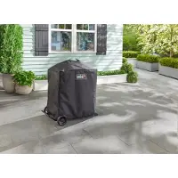 Weber Traveler Compact hoes
