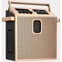 Mondo By Defunc Medium Bluetooth Speaker – 60W – USB-C Fast Charging – tot 8uur Speelduur – 2025 model – Goud Brons