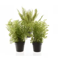 Kaemingk Serie - Synthetische Varen - 30 cm - Groene Kunstplant - Makkelijk Onderhoud