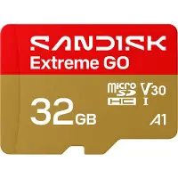 SanDisk Extreme GO microSDHC 32GB 100MB/s
