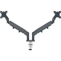 Leitz Monitorarm Ergo ruimtebesparend dubbel donkergrijs