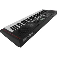 Roland E-X10 Portable Keyboard
