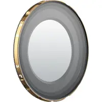 Polar Pro PolarPro Litechaser iPhone 13 3-5 Stops VND Mist Filter