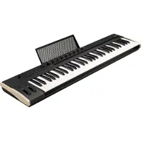 Korg Keystage 61