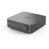 WIIM Amp Pro Grijs