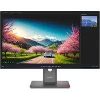 Lenovo ThinkVision P32UD-40 32 UHD USB-C-dockingbeeldscherm - 64A8XAT2EU