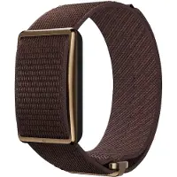 Polar Loop Bruin