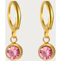 Yehwang Geboortesteen Oorringen - December - Topaas - Zilver