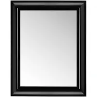 Kartell Francois Ghost Spiegel 88x110 cm | Black Glossy