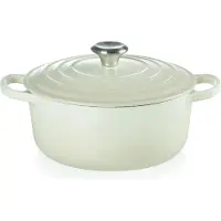 Le Creuset Signature Roaster Round 20 Cm Steelpan