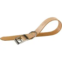 Ferplast Natural Leather C 15 Mm 35 Cm Hondenhalsband