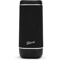 Roberts Reunion portable bluetooth speaker - IPX7- Zwart