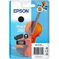Epson 250 (C13T16N14010) Inktcartridge Zwart