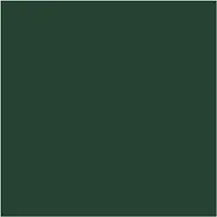 Packlinq Plus Color Acrylverf, donkergroen, 60 ml/ 1 fles