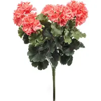 Emerald - Kunstplant Geranium UV 41cm peach - Kunstplant voor binnen