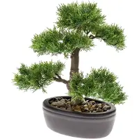 Botanic-Haus Zijdeplant Bonsai Cedar kunstplant