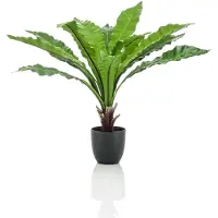 Emerald - Kunstplant Asplenium Fern 75cm - Kunstplant voor binnen