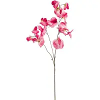 Emerald - Kunstbloem Pronkerwt 75cm roze - Kunstplant voor binnen