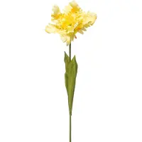 Emerald - Kunstbloem Tulp Parrot 68cm geel - Kunstplant voor binnen