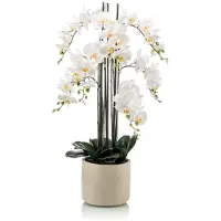 Emerald - Kunstplant in pot Phalaenopsis wit 100cm - Kunstplant voor binnen