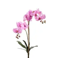 Emerald - Kunstplant Phalaenopsis RT 65cm roze - Kunstplant voor binnen