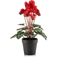 Emerald - Kunstplant Cyclamen in pot 30cm rood - Kunstplant voor binnen