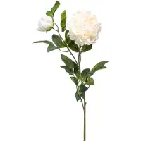 Emerald - Kunstbloem Pioenroos 100cm crème - Kunstplant voor binnen