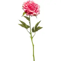 Emerald - Kunstbloem Pioenroos RT 56cm zachtroze - Kunstplant voor binnen