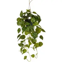 Emerald - Kunst Hangplant Scindapsus in pot groen/geel 70cm - Kunstplant voor binnen