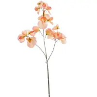 Emerald - Kunstbloem Pronkerwt 75cm peach - Kunstplant voor binnen