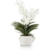 Emerald - Kunstplant Vanda in pot 60cm wit - Kunstplant voor binnen