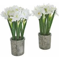 Loberon Sierbloem set van 2 Soralen