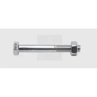 Swg 4009155697239 Zeskantbout 16 mm 160 mm Buitenzeskant DIN 601 Staal Verzinkt 10 stuk(s)