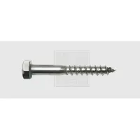 Swg 19363067 Houtschroef 6 mm 30 mm Buitenzeskant DIN 571 RVS A2 50 stuk(s)