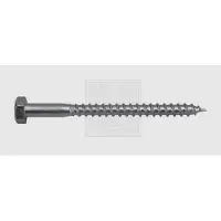 Swg 4009155622620 Houtschroef 10 mm 160 mm Buitenzeskant DIN 571 Staal Verzinkt 25 stuk(s)