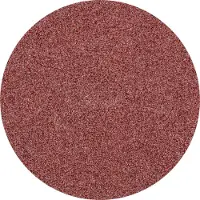 PFERD TOOLS CD 25 A 180 42750318 Schuurblad Korrelgrootte (num) 180 (Ø) 25 mm 100 stuk(s)