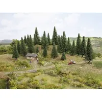 Noch 26838 Set bomen Zilverspar 50 tot 140 mm Donkergroen 50 stuk(s)