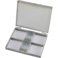 Bresser Dauerpräparate 25er 5986001 Microscoop objectdrager
