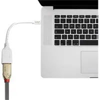 Lindy 41021 DisplayPort / Mini-displayport Adapterkabel [1x DisplayPort bus - 1x Mini-DisplayPort stekker] Wit 15.00 cm