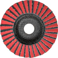 PFERD TOOLS 44695113 Pvz Lamellenschijf Diameter 125 mm Boordiameter 22.23 mm Korrelgrootte (num) 240 5 stuk(s)