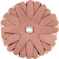PFERD TOOLS 42732148 Schuurster Diameter 90 mm 10 stuk(s)