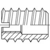 Toolcraft 144035 Rampamoer M6 30 mm Staal 100 stuk(s)