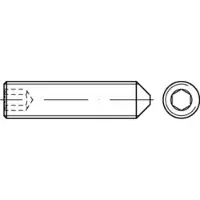 Toolcraft TO-5414373 Draadpen M16 30 mm Staal Galvanisch verzinkt 100 stuk(s)