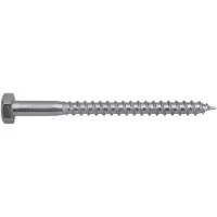 Swg 1921016019 Houtschroef 10 mm 160 mm Staal 50 stuk(s)