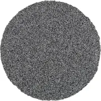 PFERD TOOLS CD 50 SiC 80 42754508 Schuurblad Korrelgrootte (num) 80 (Ø) 50 mm 100 stuk(s)