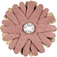 PFERD TOOLS 42732086 Schuurster Diameter 60 mm 10 stuk(s)