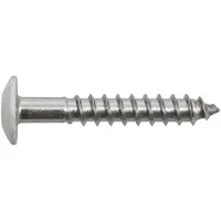 Swg 2115555619 Gevelschroef 5.5 mm 55 mm Binnen-T RVS V4A A4 200 stuk(s)