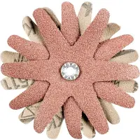 PFERD TOOLS 42732143 Schuurster Diameter 90 mm 10 stuk(s)